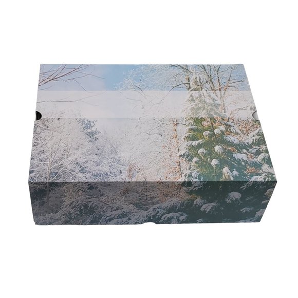 Womens Pointed Toe Ankle Boot Cutout Chunky Heel Bootie Nude Size 10 - Picture 8 of 8